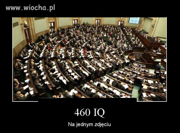 IQ 460