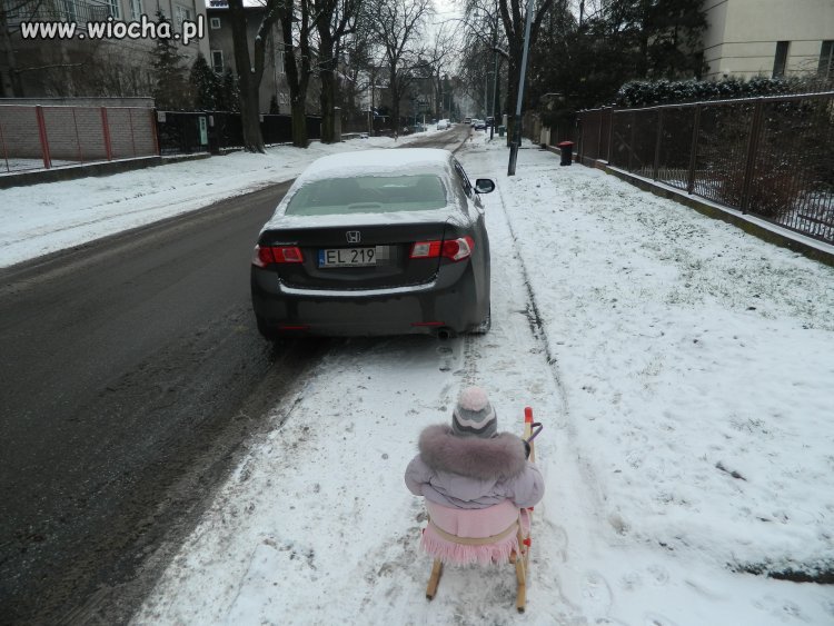 Mistrz parkowania 