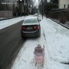 Mistrz parkowania 