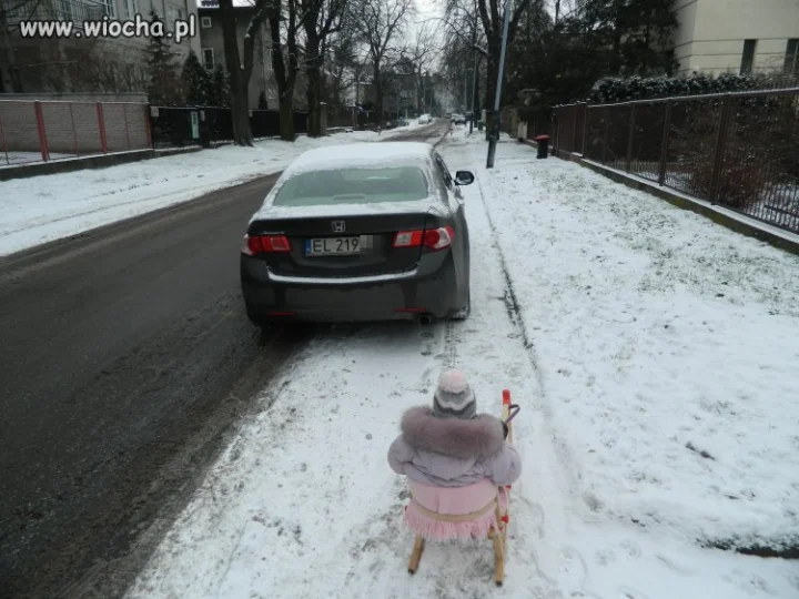 Mistrz parkowania 