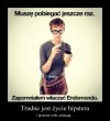 Ciężkie życie hipstera