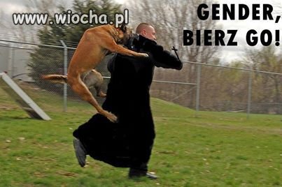 I o co ten szum...