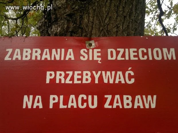 Plac zabaw dla dorosłych?