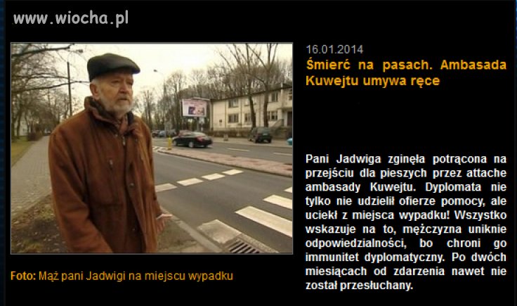 Święta krowa z Kuwejtu