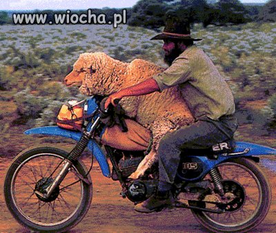Mobilny