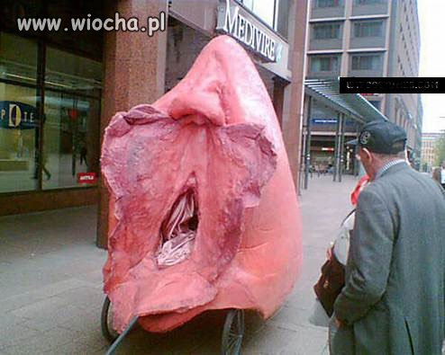 Mobilna wagina