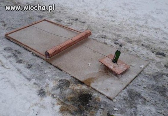 Nowa Pułapka 