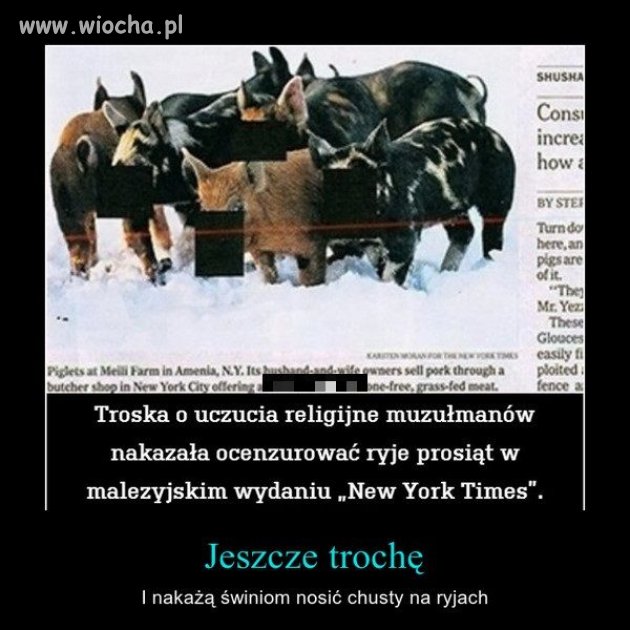 I do czego to doszło