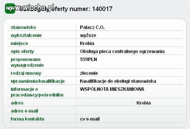 Pilnie zatrudnię magistra spalania