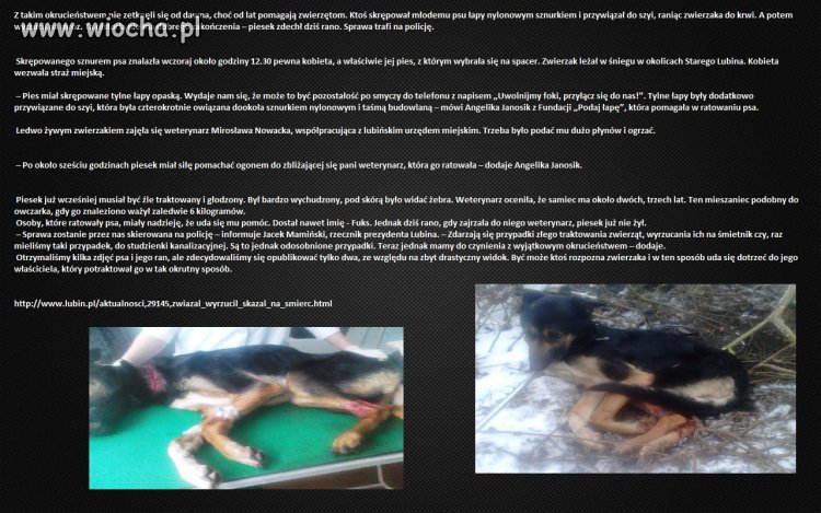Przepraszam za małe litery ale robiłem na szybko.