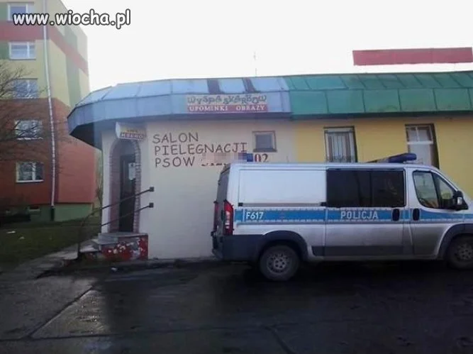 Policja