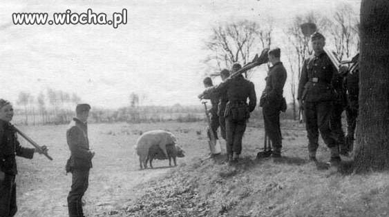 Odtajnione akta Trzeciej Rzeszy