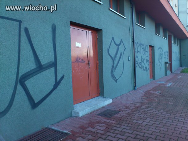 "Kwiat polskiej inteligencji" jak zwykle się nudzi