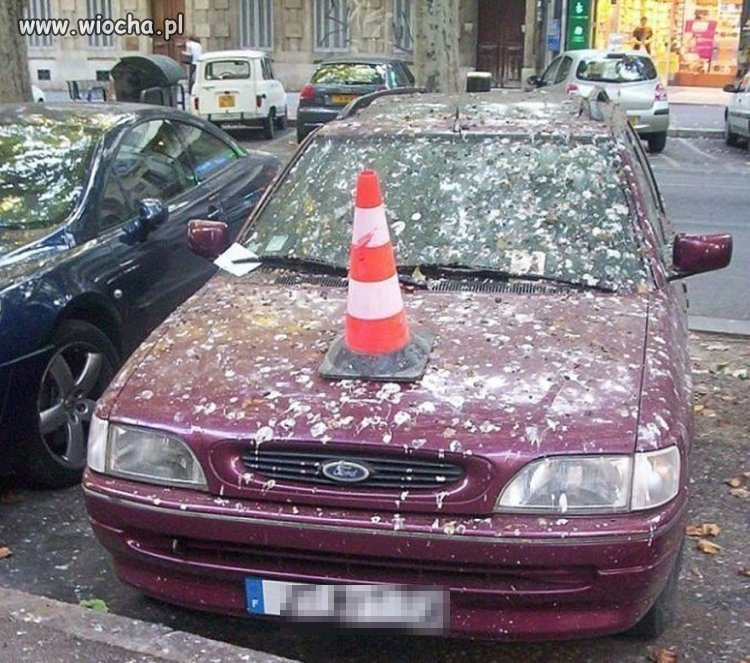 Gówniana sprawa...