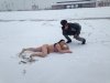 Takie tam z foką na plaży