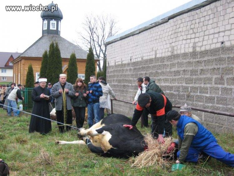 Islam religia miłości