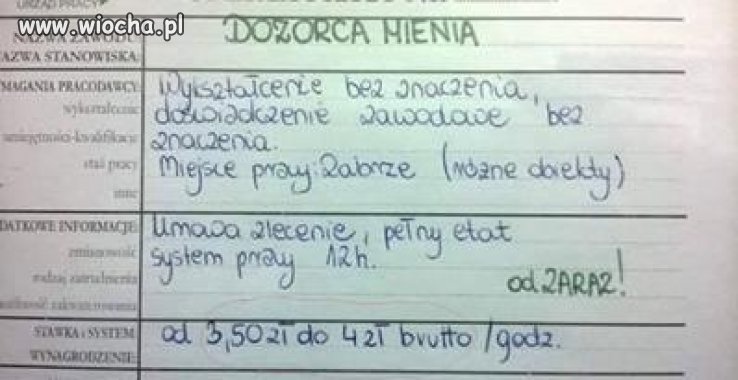 Oferta w Urzędzie Pracy... 
