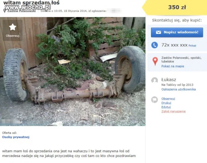 Sprzedam łoś