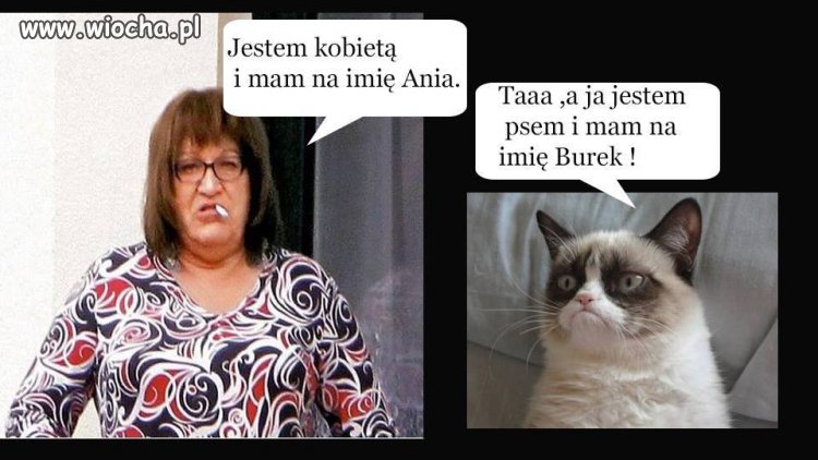 Nawiększy absurd w Polsce 