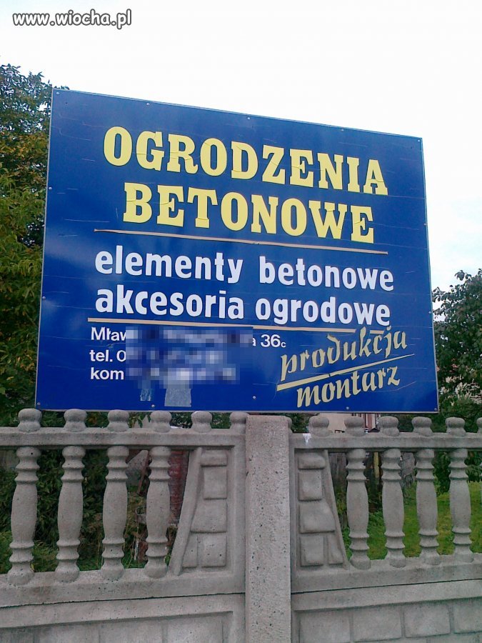 Reklama ortografii