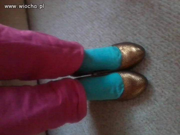 Trend 2014 