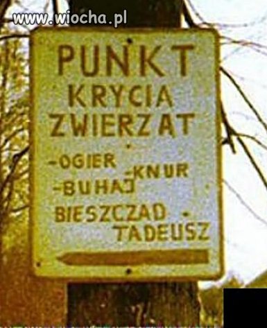 Która pani chętna ?