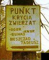 Która pani chętna ?