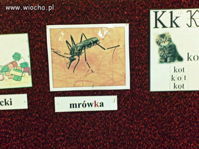 Tymczasem...