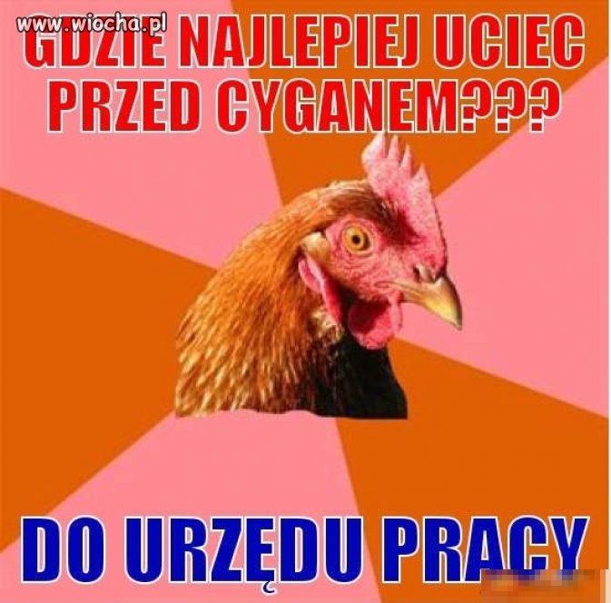 Gdzie najlepiej uciec przed cyganem???