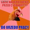 Gdzie najlepiej uciec przed cyganem???