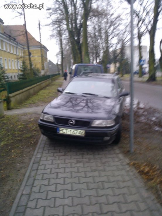 Mistrz parkowania 