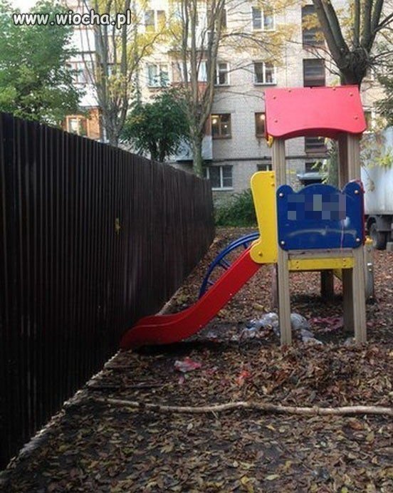 Szkoda, że głupota 