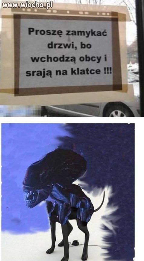 Obcy