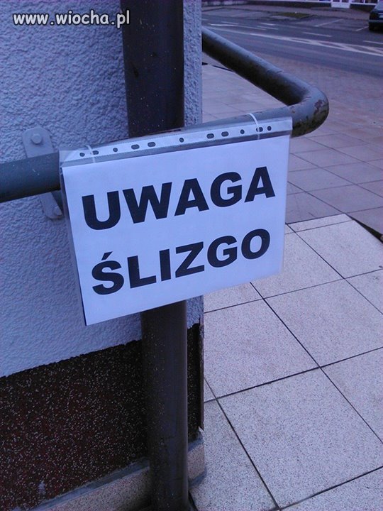 Cichy przekaz mistrza ortografi...