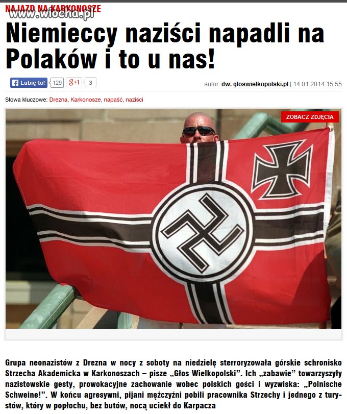 Niemieckie bydło się panoszy
