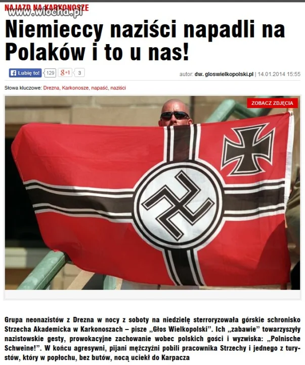 Niemieckie bydło się panoszy