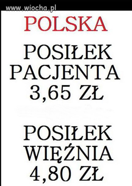 Polska kraj absurdu