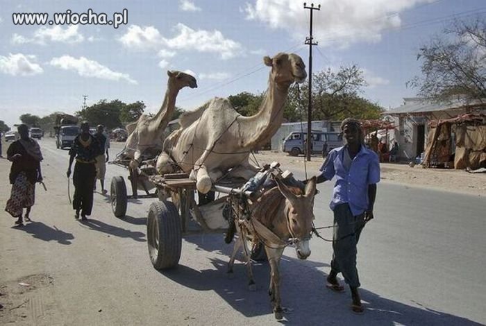 Taxi... 