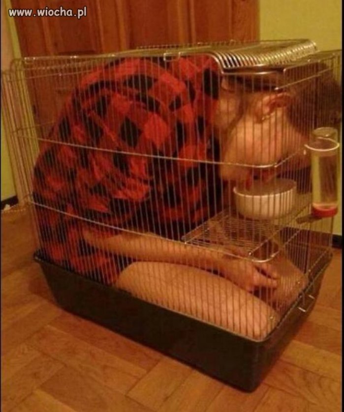 Moja kobieta ma ciasną... Tfu... ciasno ma znaczy 