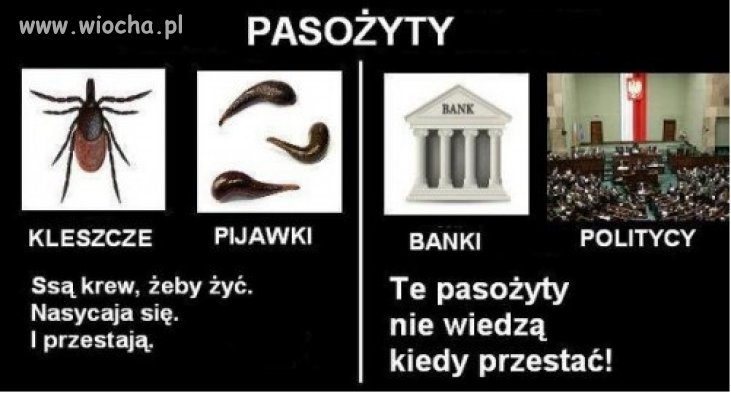Pasożyty...