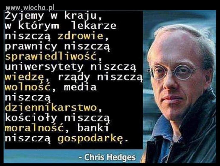 Chris Hedges 