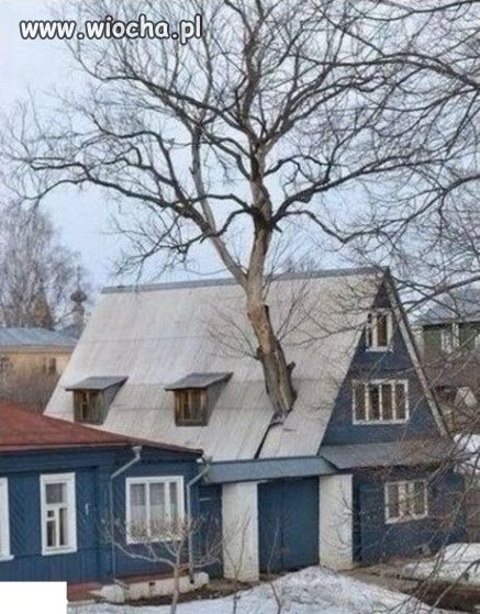 Dom ekologiczny