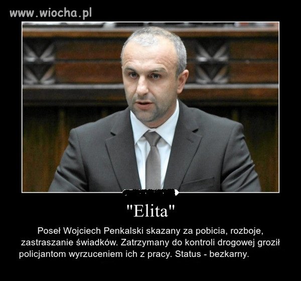 Słowo "Elita" w sejmie