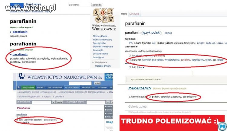 Słownik Języka Polskiego 