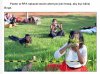 W Polsce,żeby być bliżej Boga...
