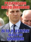 Minister Sikorski