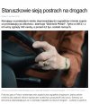 Pijani to nasz jedyny problem?