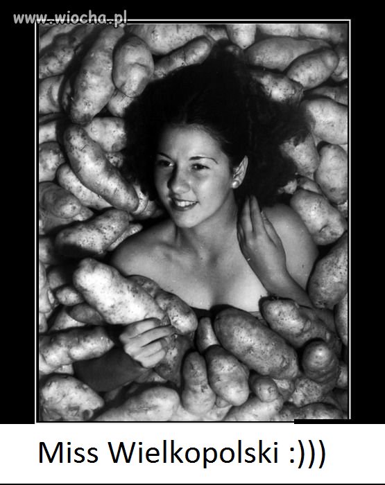 W krainie podziemnych pomarańczy