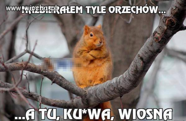 Zimo wróć