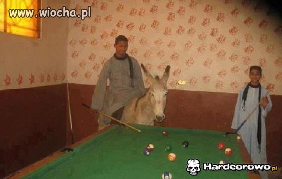 Bilard z ukochaną